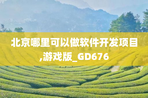 北京哪里可以做软件开发项目,游戏版_GD676