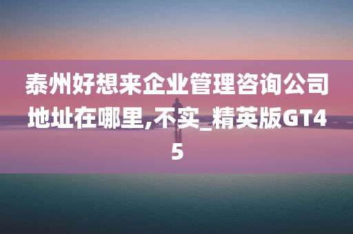 泰州好想来企业管理咨询公司地址在哪里,不实_精英版GT45