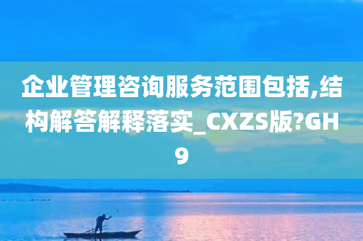 企业管理咨询服务范围包括,结构解答解释落实_CXZS版?GH9