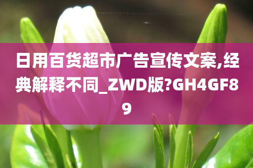 日用百货超市广告宣传文案,经典解释不同_ZWD版?GH4GF89