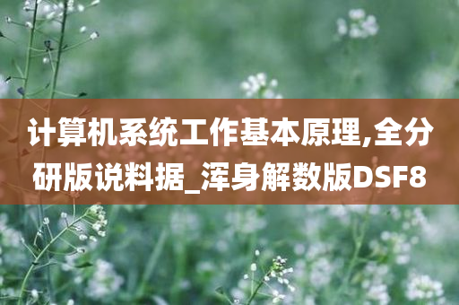 计算机系统工作基本原理,全分研版说料据_浑身解数版DSF8