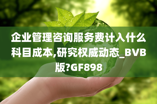 企业管理咨询服务费计入什么科目成本,研究权威动态_BVB版?GF898