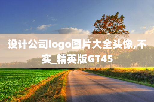 设计公司logo图片大全头像,不实_精英版GT45