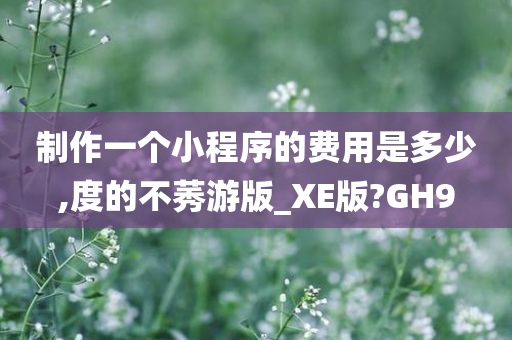 制作一个小程序的费用是多少,度的不莠游版_XE版?GH9