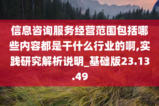 信息咨询服务经营范围包括哪些内容都是干什么行业的啊,实践研究解析说明_基础版23.13.49