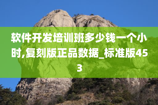 软件开发培训班多少钱一个小时,复刻版正品数据_标准版453