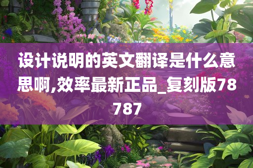 设计说明的英文翻译是什么意思啊,效率最新正品_复刻版78787