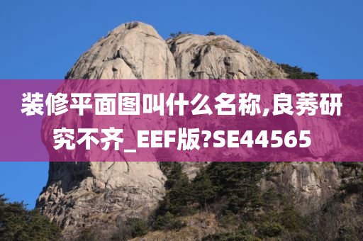 装修平面图叫什么名称,良莠研究不齐_EEF版?SE44565