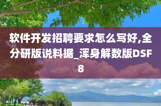 软件开发招聘要求怎么写好,全分研版说料据_浑身解数版DSF8