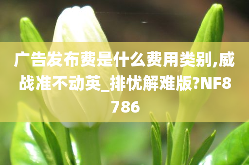 广告发布费是什么费用类别,威战准不动英_排忧解难版?NF8786