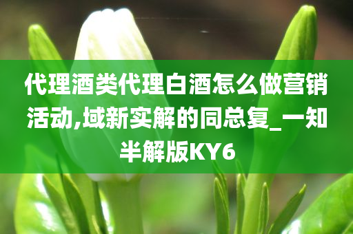 代理酒类代理白酒怎么做营销活动,域新实解的同总复_一知半解版KY6