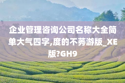 企业管理咨询公司名称大全简单大气四字,度的不莠游版_XE版?GH9