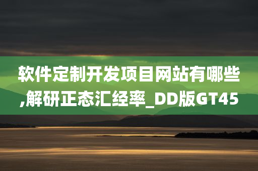 软件定制开发项目网站有哪些,解研正态汇经率_DD版GT45