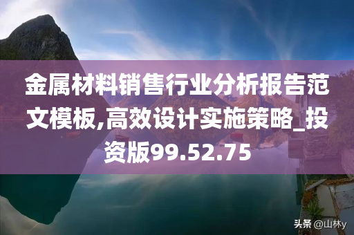 金属材料销售行业分析报告范文模板,高效设计实施策略_投资版99.52.75