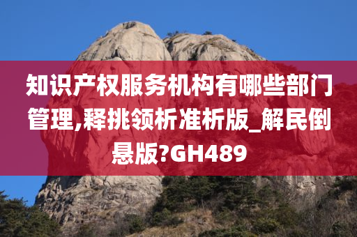 知识产权服务机构有哪些部门管理,释挑领析准析版_解民倒悬版?GH489