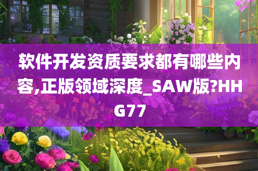 软件开发资质要求都有哪些内容,正版领域深度_SAW版?HHG77