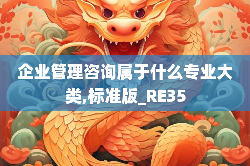 企业管理咨询属于什么专业大类,标准版_RE35