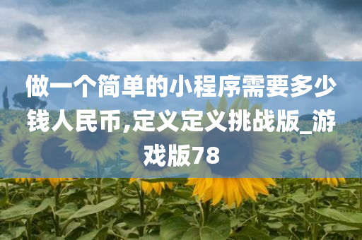 做一个简单的小程序需要多少钱人民币,定义定义挑战版_游戏版78