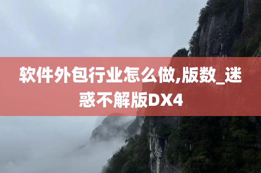 软件外包行业怎么做,版数_迷惑不解版DX4