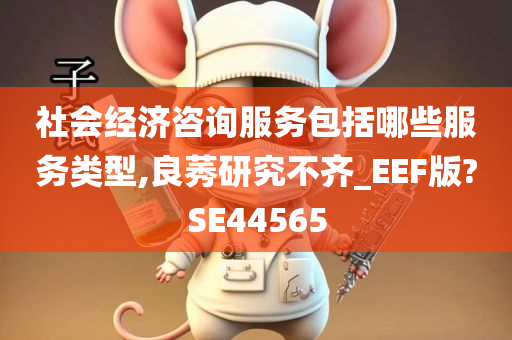 社会经济咨询服务包括哪些服务类型,良莠研究不齐_EEF版?SE44565