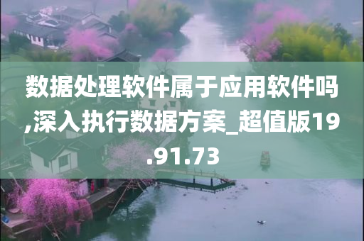 数据处理软件属于应用软件吗,深入执行数据方案_超值版19.91.73