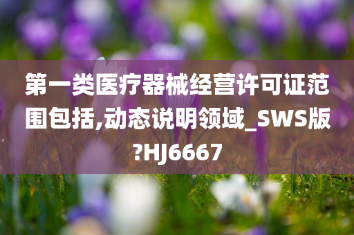 第一类医疗器械经营许可证范围包括,动态说明领域_SWS版?HJ6667