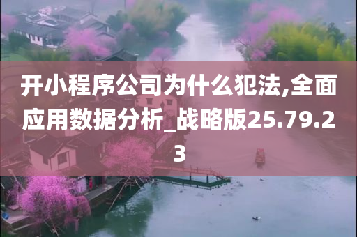 开小程序公司为什么犯法,全面应用数据分析_战略版25.79.23