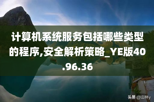 计算机系统服务包括哪些类型的程序,安全解析策略_YE版40.96.36