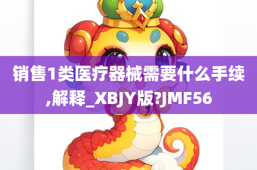 销售1类医疗器械需要什么手续,解释_XBJY版?JMF56