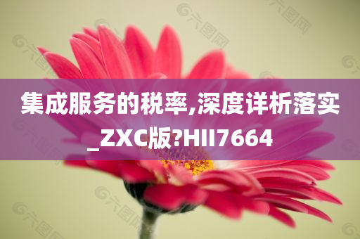 集成服务的税率,深度详析落实_ZXC版?HII7664