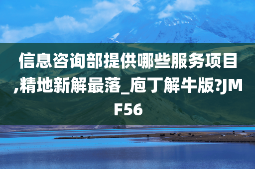 信息咨询部提供哪些服务项目,精地新解最落_庖丁解牛版?JMF56