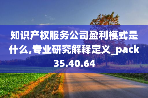 知识产权服务公司盈利模式是什么,专业研究解释定义_pack35.40.64