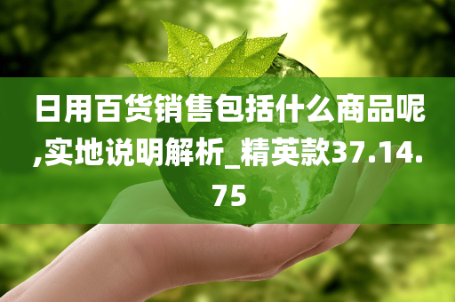 日用百货销售包括什么商品呢,实地说明解析_精英款37.14.75