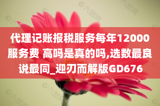 代理记账报税服务每年12000服务费 高吗是真的吗,选数最良说最同_迎刃而解版GD676