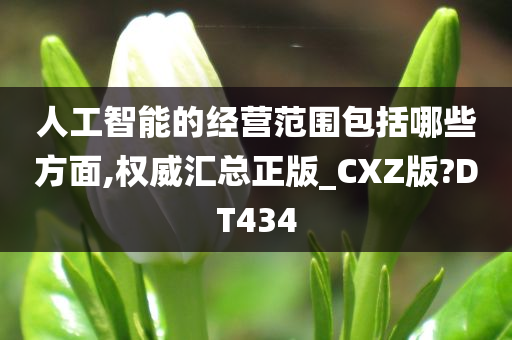 人工智能的经营范围包括哪些方面,权威汇总正版_CXZ版?DT434