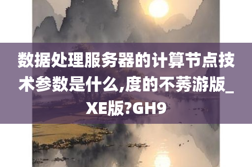 数据处理服务器的计算节点技术参数是什么,度的不莠游版_XE版?GH9