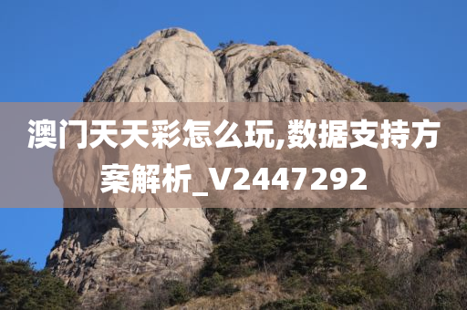 澳门天天彩怎么玩,数据支持方案解析_V2447292