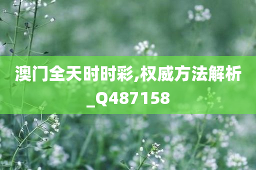 澳门全天时时彩,权威方法解析_Q487158