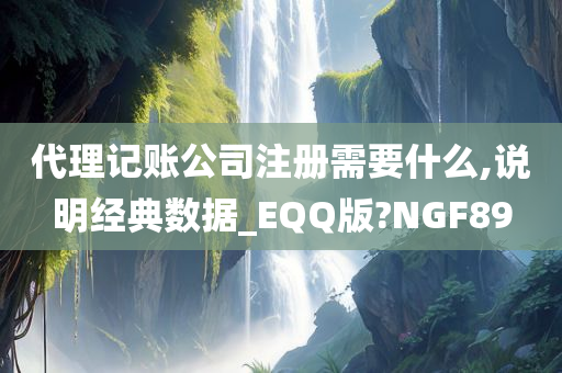 代理记账公司注册需要什么,说明经典数据_EQQ版?NGF89