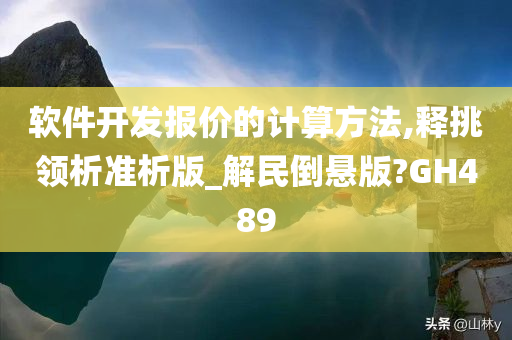 软件开发报价的计算方法,释挑领析准析版_解民倒悬版?GH489