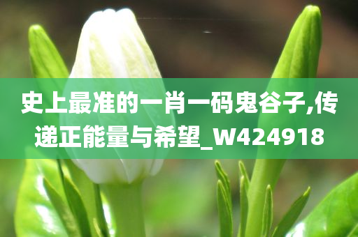 史上最准的一肖一码鬼谷子,传递正能量与希望_W424918