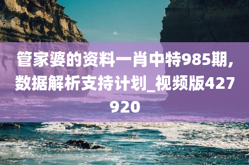 管家婆的资料一肖中特985期,数据解析支持计划_视频版427920