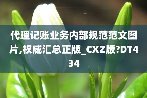 代理记账业务内部规范范文图片,权威汇总正版_CXZ版?DT434