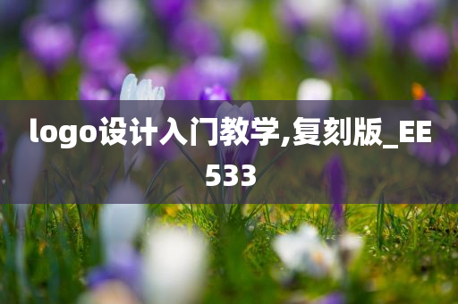 logo设计入门教学,复刻版_EE533