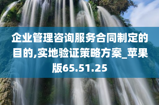 企业管理咨询服务合同制定的目的,实地验证策略方案_苹果版65.51.25