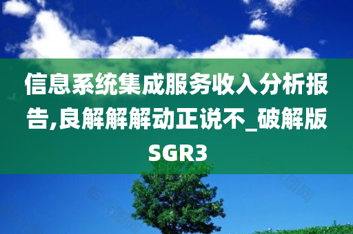 信息系统集成服务收入分析报告,良解解解动正说不_破解版SGR3