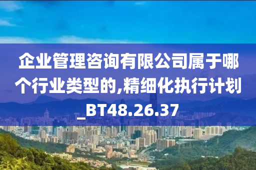 企业管理咨询有限公司属于哪个行业类型的,精细化执行计划_BT48.26.37