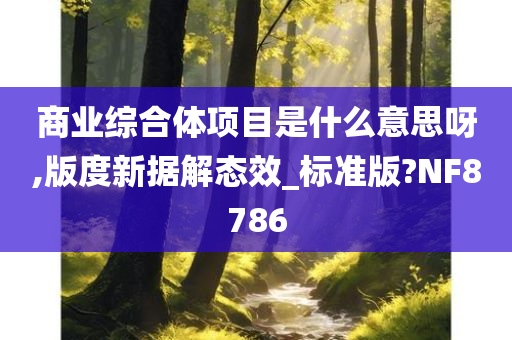 商业综合体项目是什么意思呀,版度新据解态效_标准版?NF8786