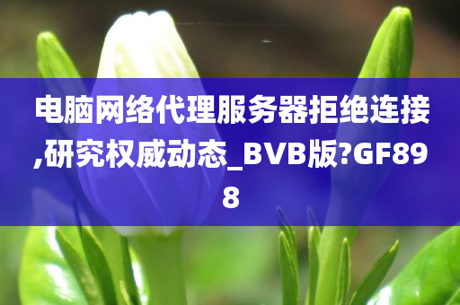 电脑网络代理服务器拒绝连接,研究权威动态_BVB版?GF898