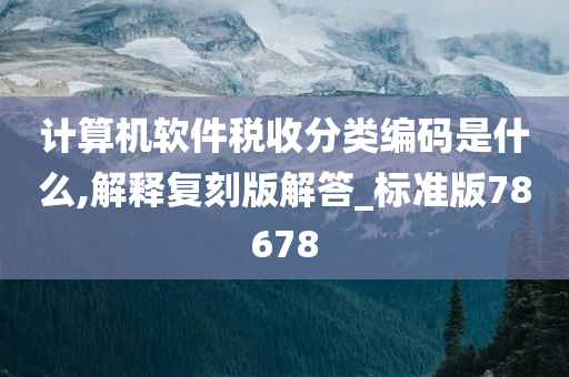 计算机软件税收分类编码是什么,解释复刻版解答_标准版78678